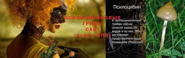 spice Алексин