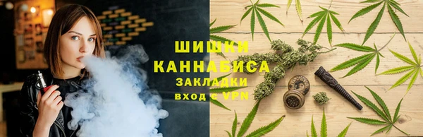 spice Алексин